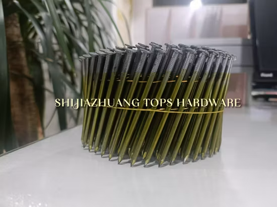 Screw Shank Coil Nails for Pallets