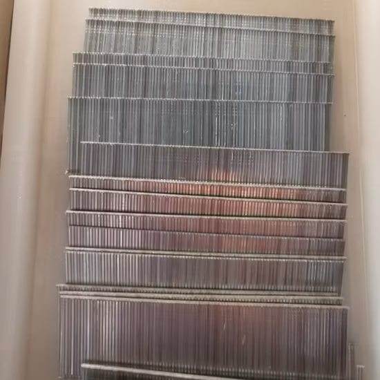 T Nails Series Staple for Sofa